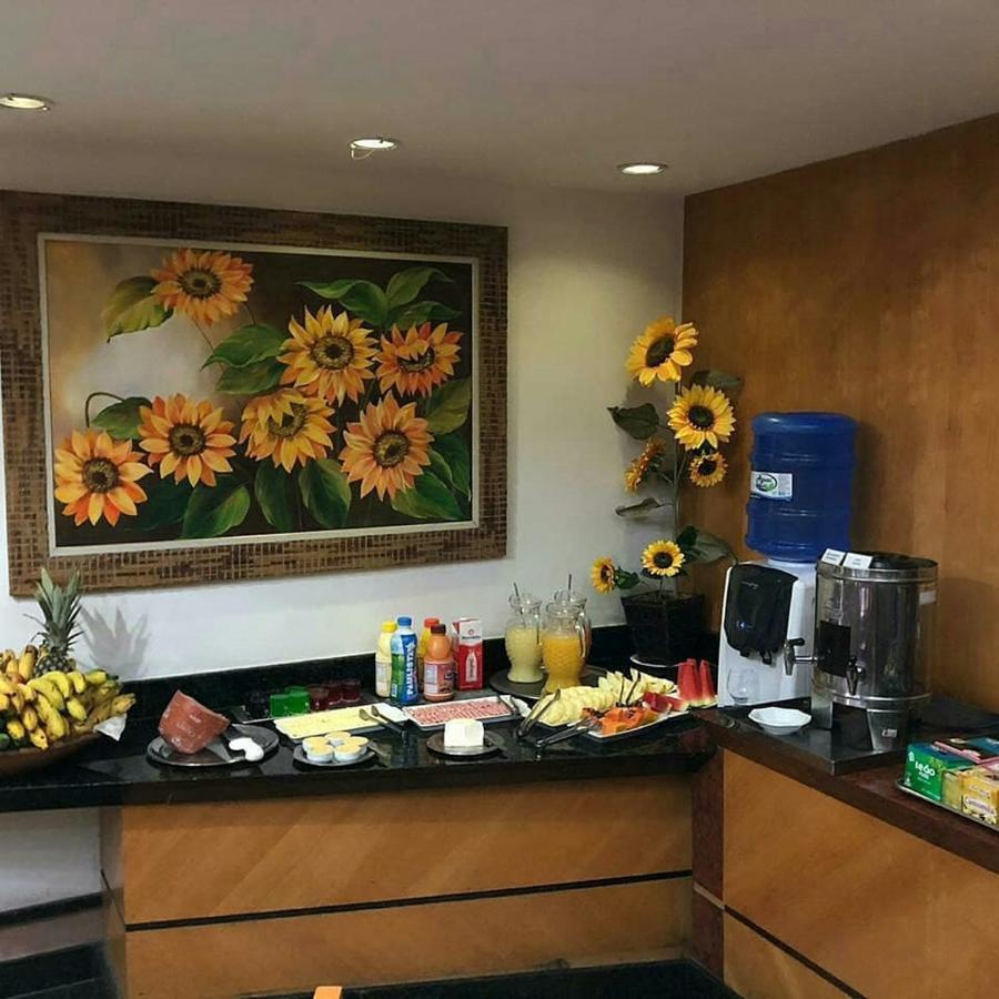 Horto Executivo Hotel Ιπατίνγκα Εξωτερικό φωτογραφία